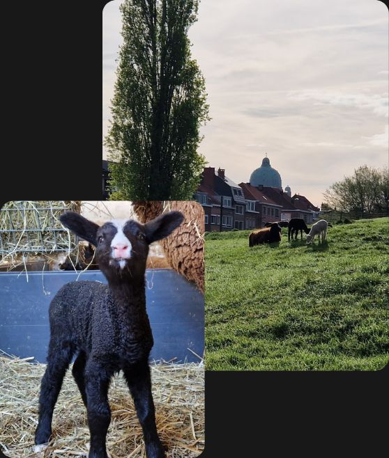 Présentation de la ferme